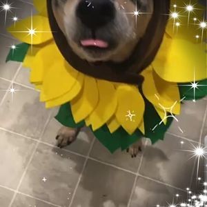 Meet your Posher, Mary